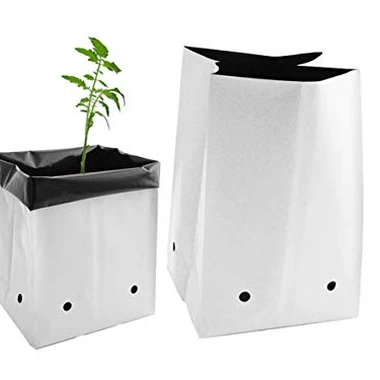 foto Plastic grow bag 10gallon
