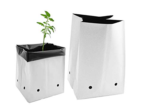 foto Plastic grow bag 10gallon
